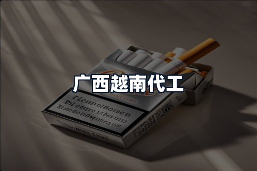 广西越南代工